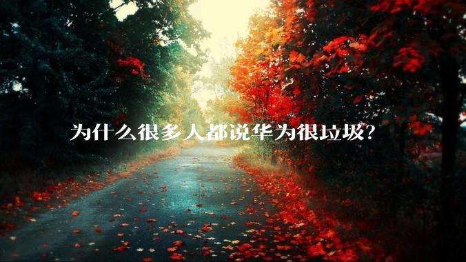 为什么很多人都说华为很垃圾？