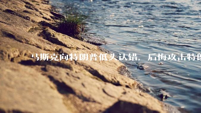 马斯克向特朗普低头认错，后悔攻击特朗普，背后的原因是什么？