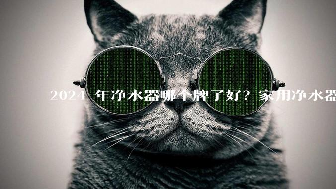 2024 年净水器哪个牌子好？家用净水器的选购攻略是什么？